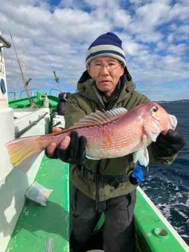 アマダイ(アカアマダイ)