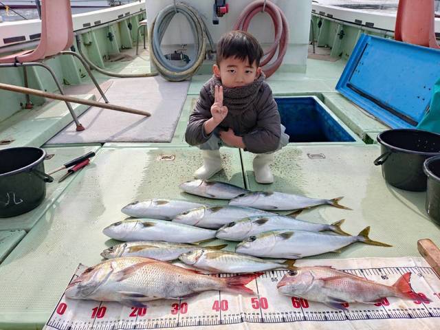 タイ(マダイ)・アジ(マアジ)・ツバス(ブリ)