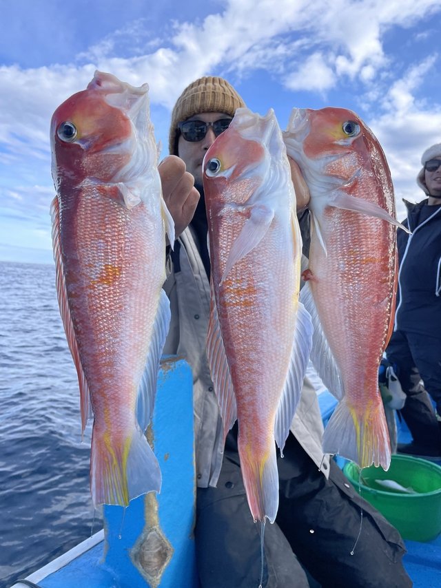 アマダイ(アカアマダイ)