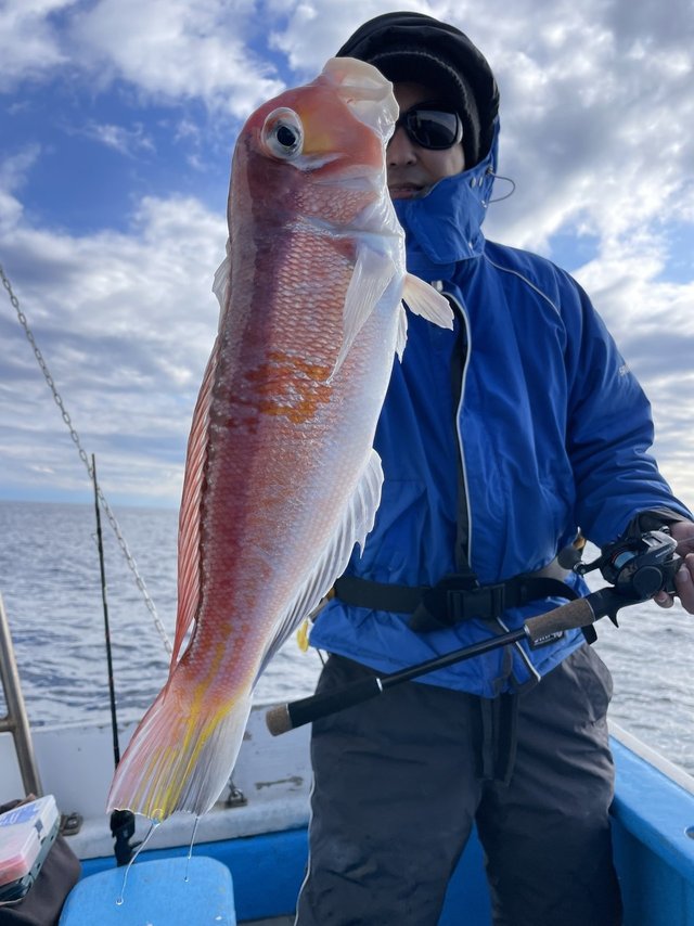 アマダイ(アカアマダイ)