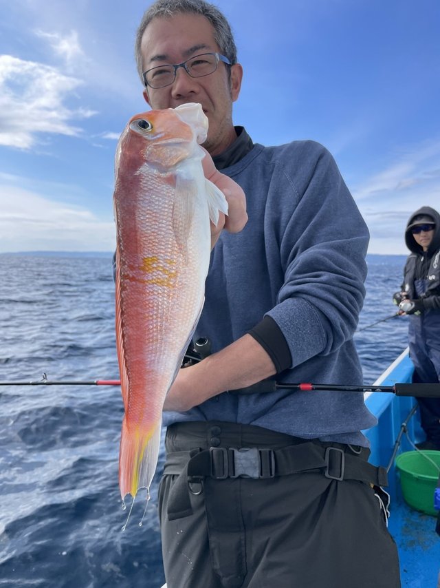 アマダイ(アカアマダイ)