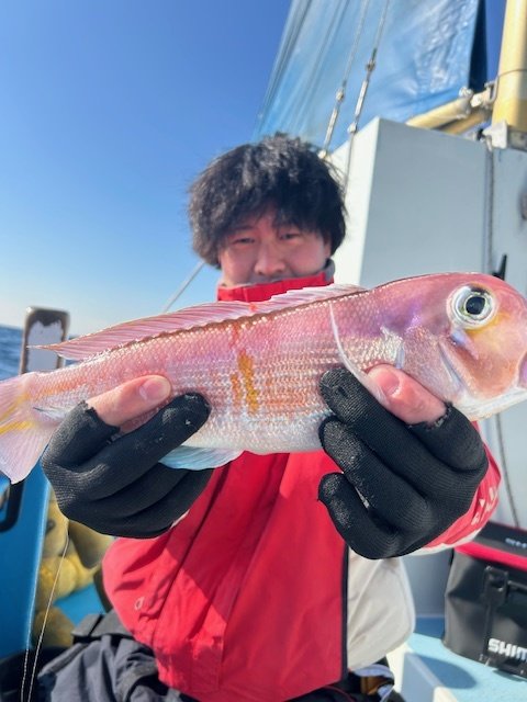 アマダイ(アカアマダイ)