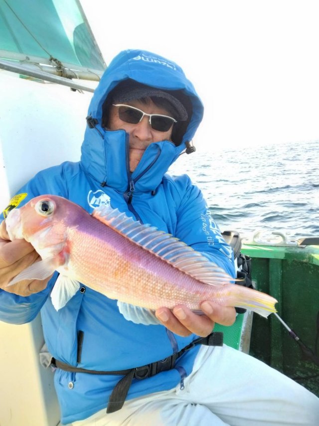 アマダイ(アカアマダイ)