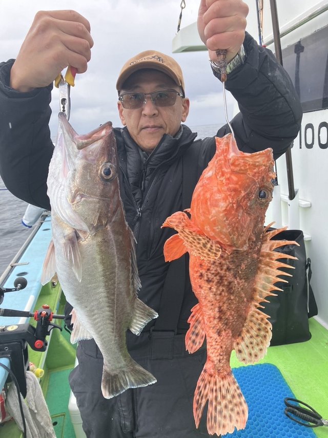 アラ・オニカサゴ