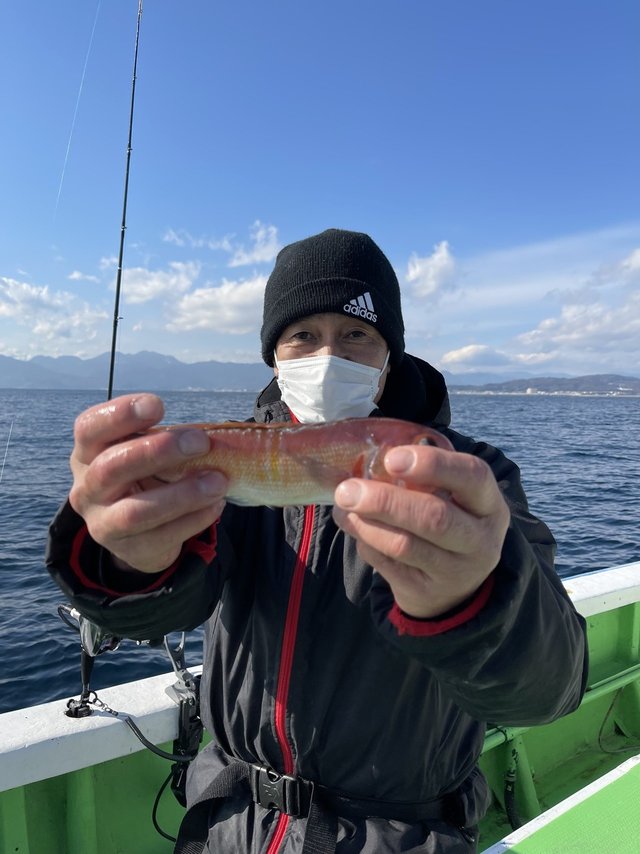 アマダイ(アカアマダイ)