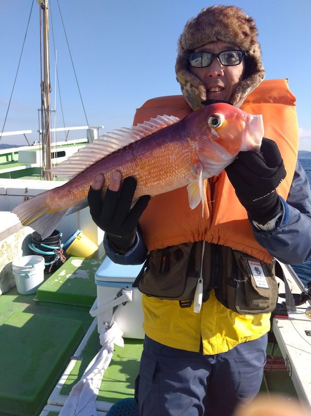 アマダイ(アカアマダイ)