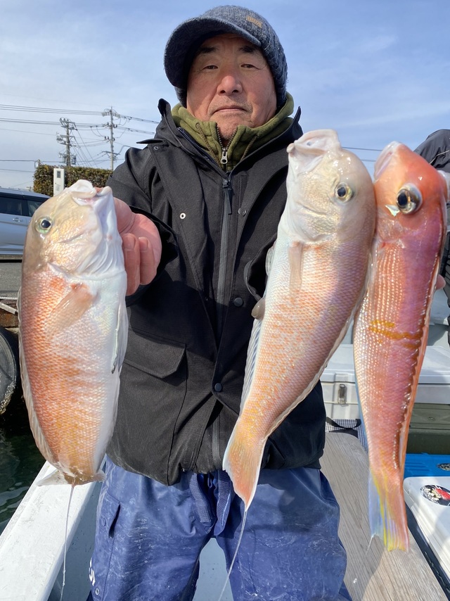 アマダイ(アカアマダイ)