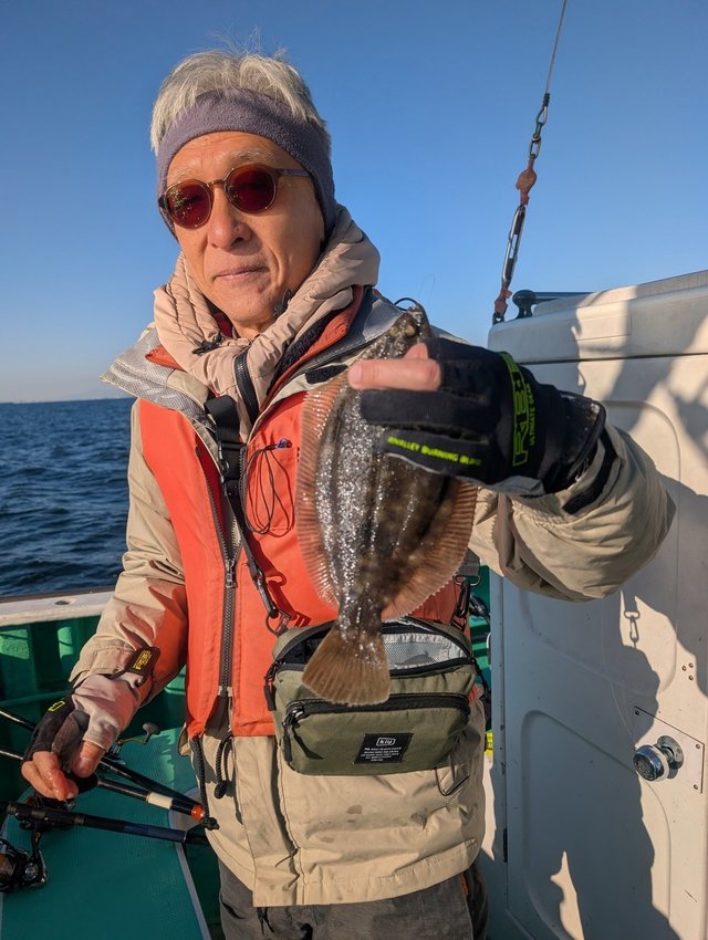 カレイ(マコガレイ)