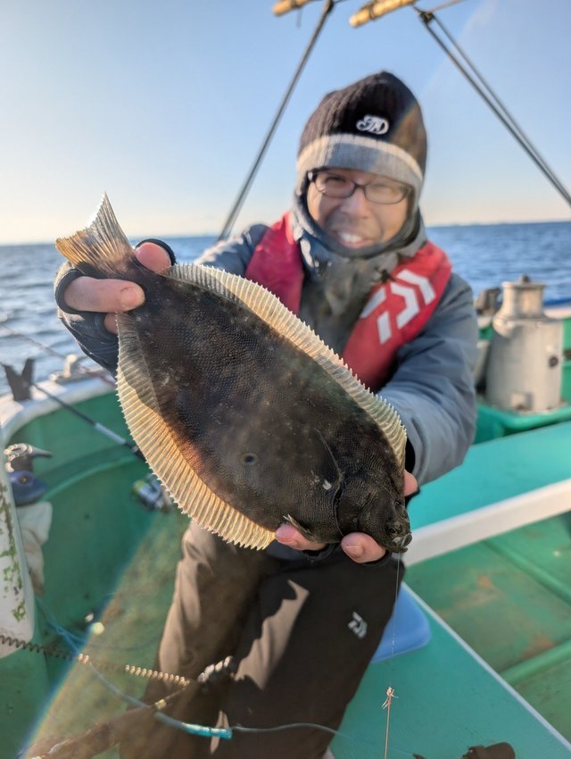 カレイ(マコガレイ)