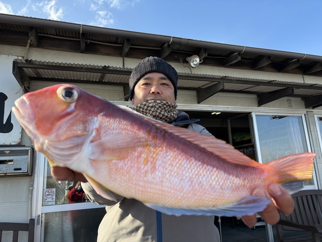 アマダイ(アカアマダイ)