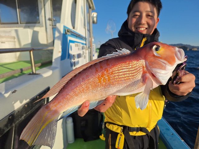 アマダイ(アカアマダイ)