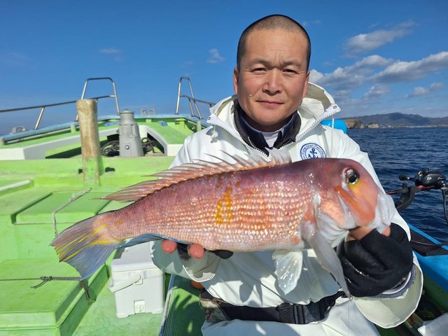 アマダイ(アカアマダイ)