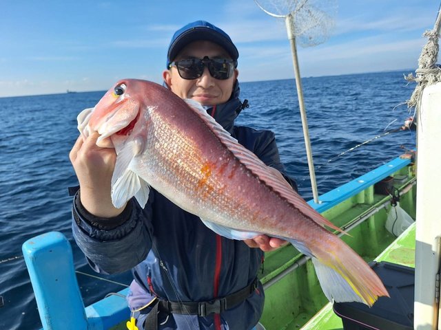 アマダイ(アカアマダイ)