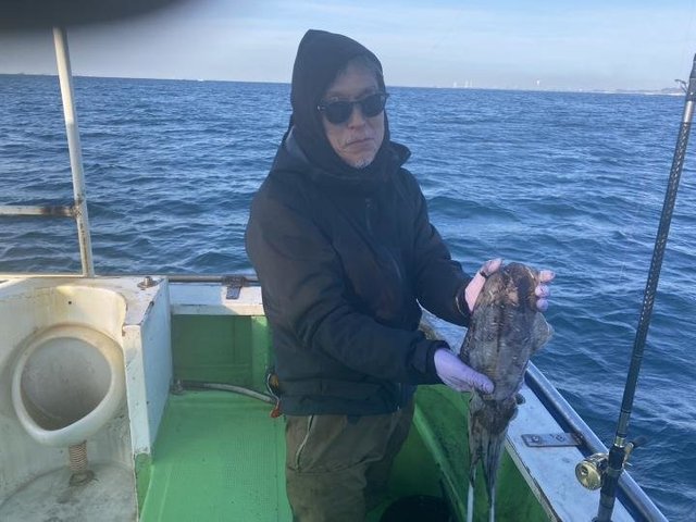 モンゴウ(カミナリイカ)