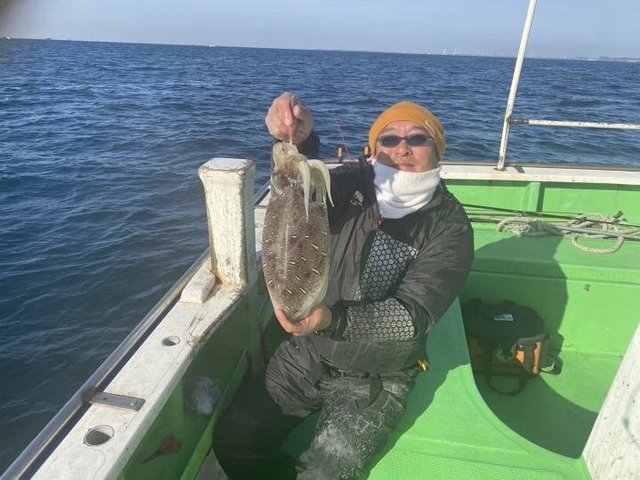 モンゴウ(カミナリイカ)