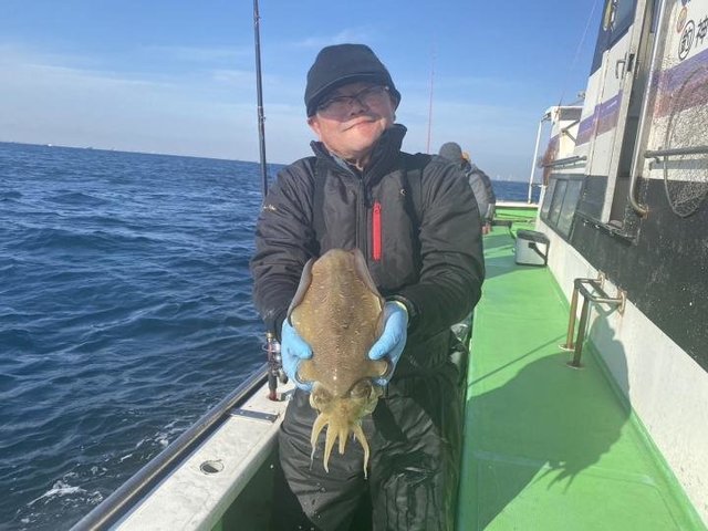 モンゴウ(カミナリイカ)