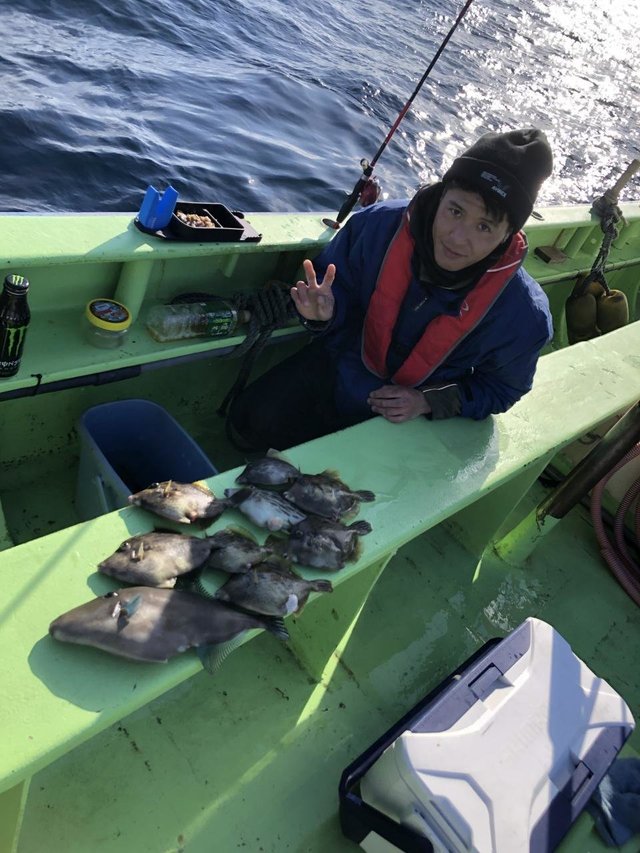 カワハギ・ウマヅラハギ