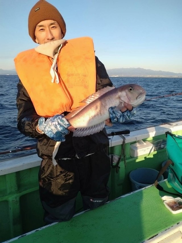 アマダイ(アカアマダイ)