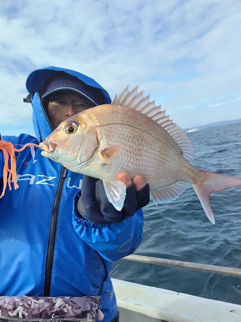 チャリコ(マダイ)