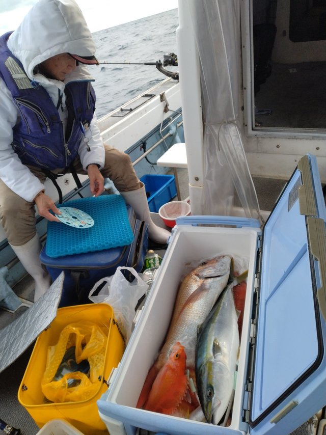 マダイ・ヒラマサ