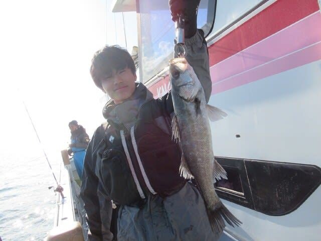 シーバス(スズキ)