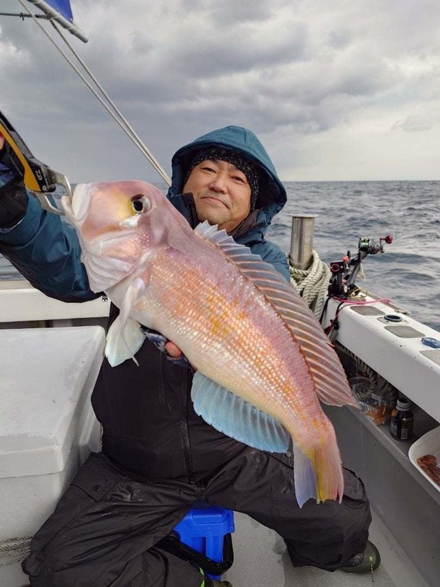 アマダイ(アカアマダイ)