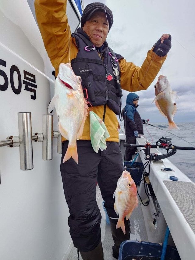 レンコ(キダイ)