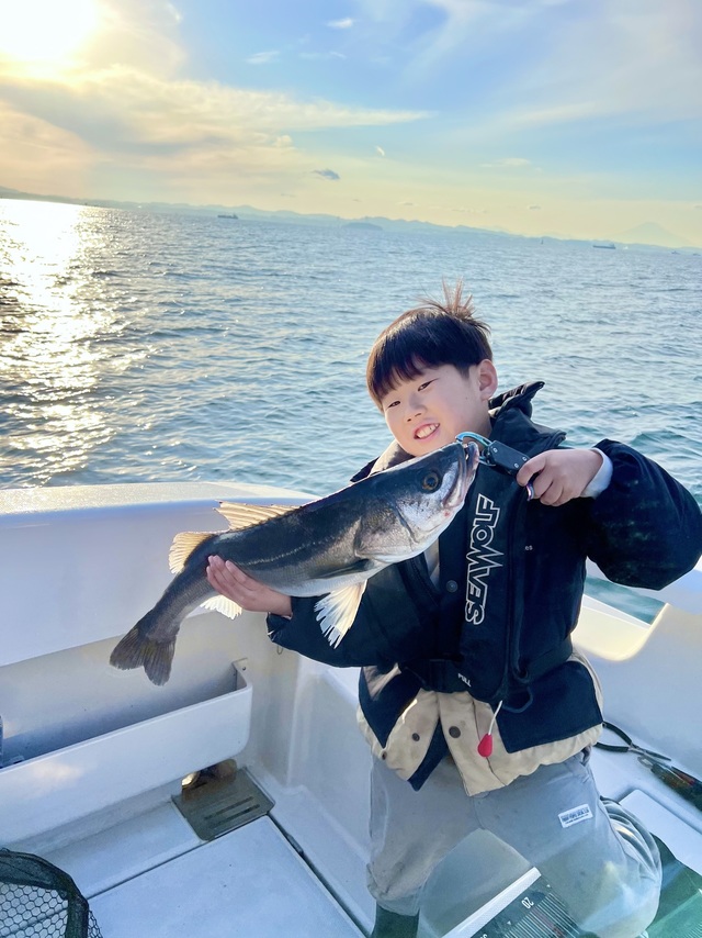 シーバス(スズキ)