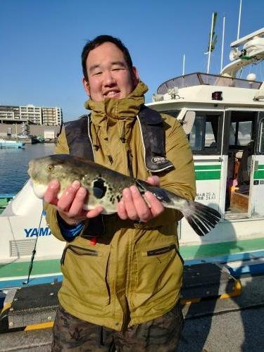 フグ(ショウサイフグ)