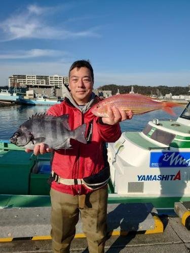 マダイ・イシダイ