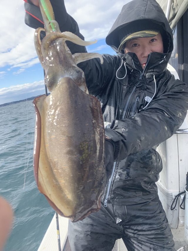 モンゴウ(カミナリイカ)