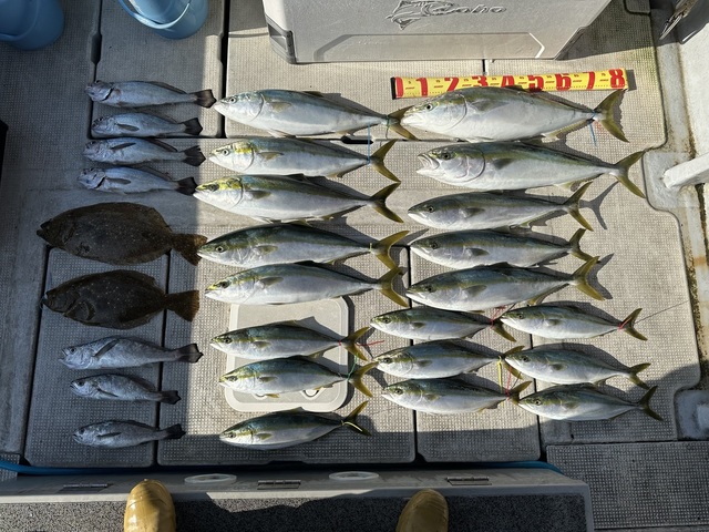 ブリ・ハマチ(ブリ)・メジロ(ブリ)・ヒラメ・クログチ