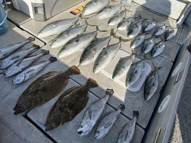 ブリ・ハマチ(ブリ)・メジロ(ブリ)・ヒラメ・クログチ