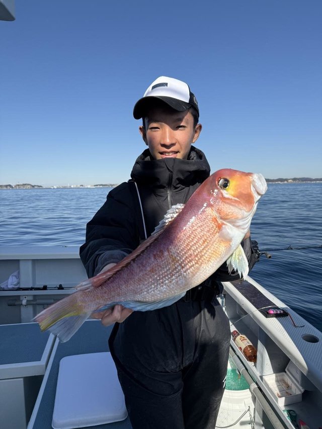 アマダイ(アカアマダイ)