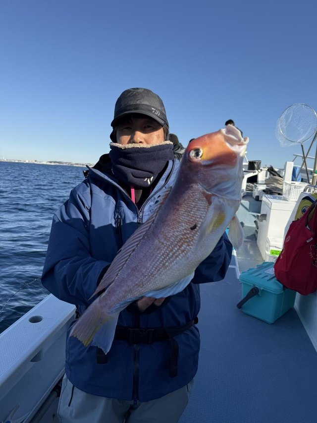 アマダイ(アカアマダイ)