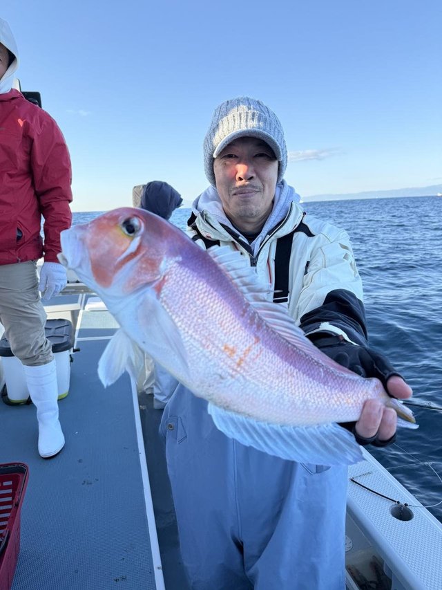 アマダイ(アカアマダイ)