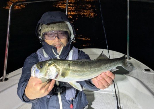 シーバス(スズキ)