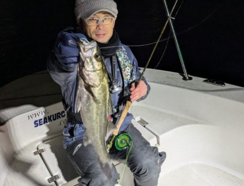 シーバス(スズキ)