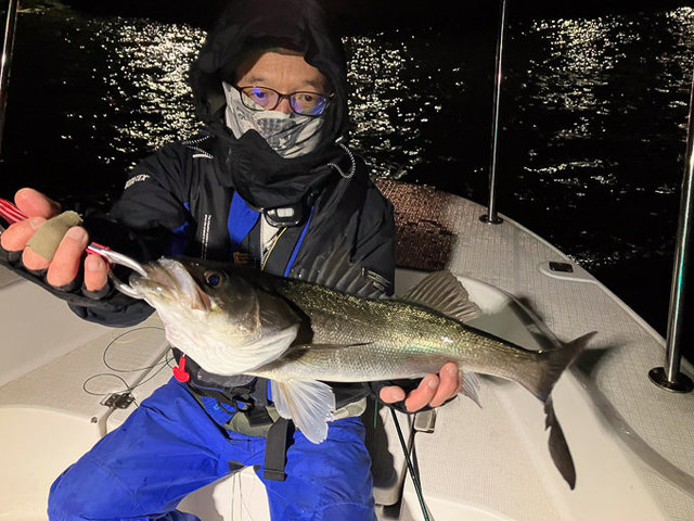 シーバス(スズキ)