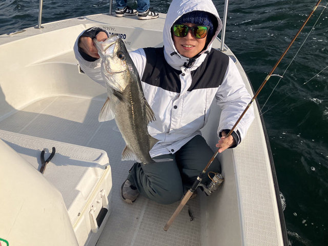 シーバス(スズキ)