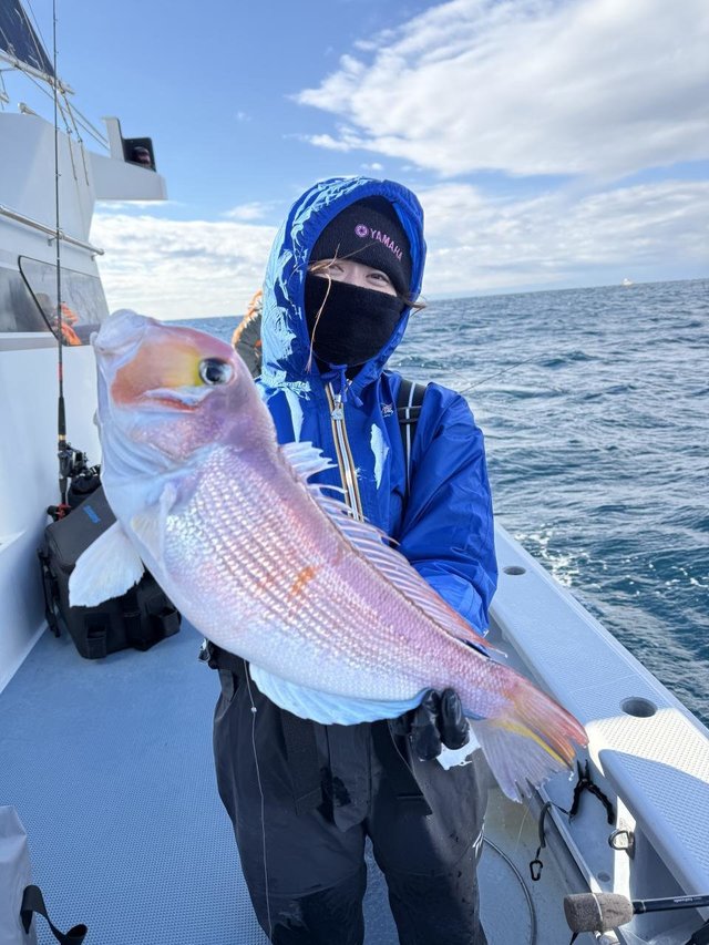 アマダイ(アカアマダイ)