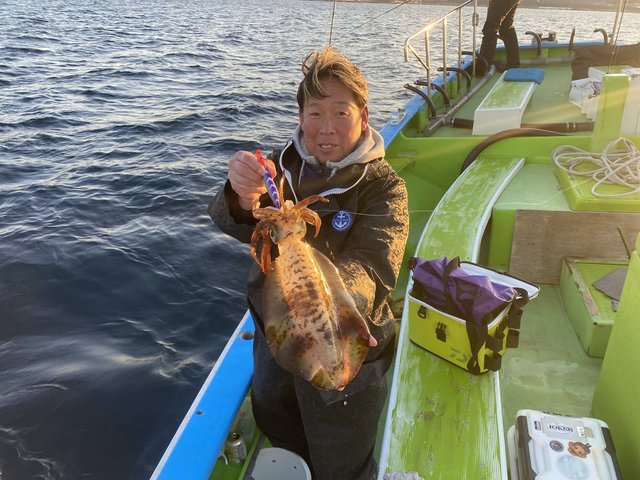 アオリ(アオリイカ)