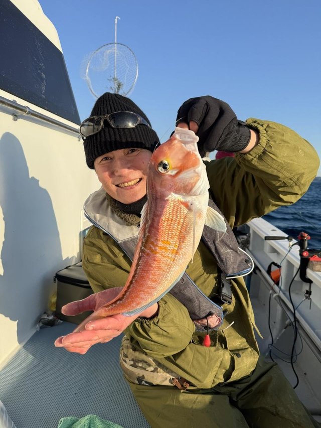 アマダイ(アカアマダイ)