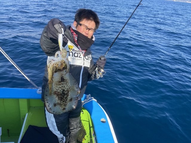 アオリ(アオリイカ)