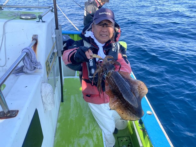 アオリ(アオリイカ)