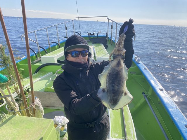 アオリ(アオリイカ)