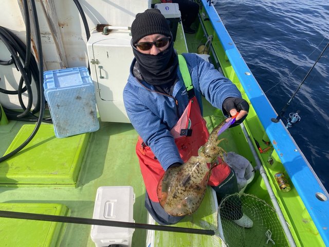 アオリ(アオリイカ)