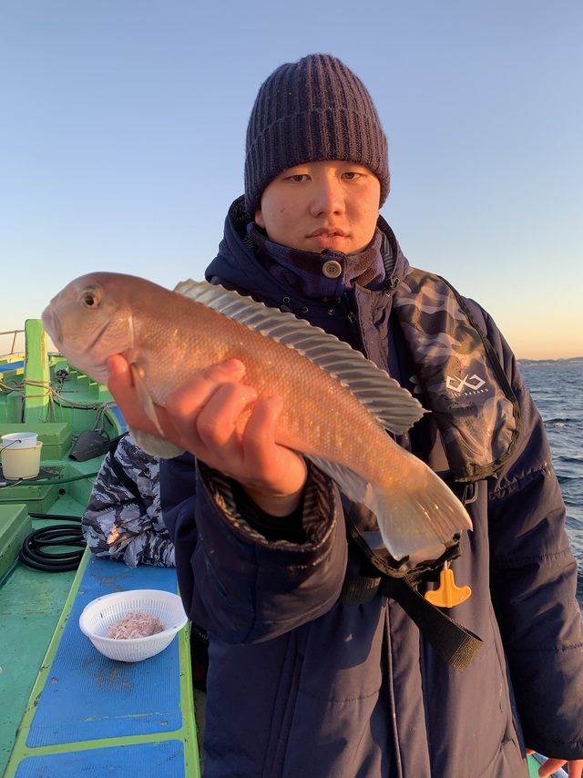 アマダイ(アカアマダイ)