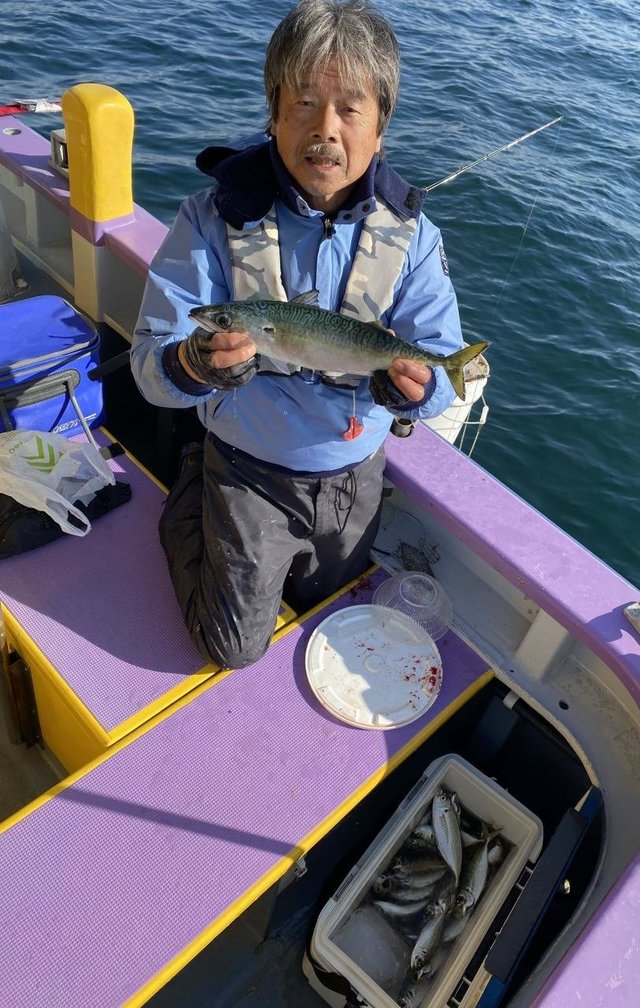 サバ(ゴマサバ)