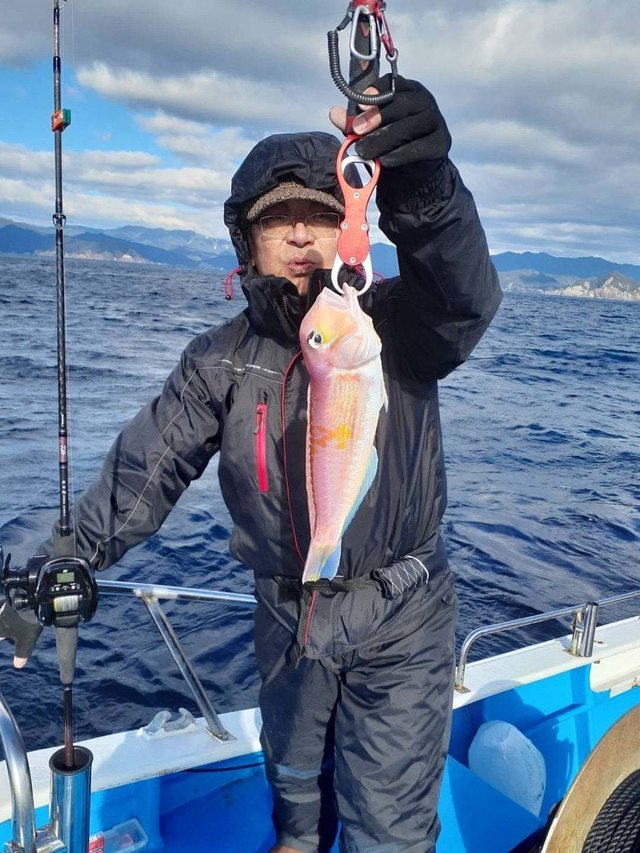 アマダイ(アカアマダイ)